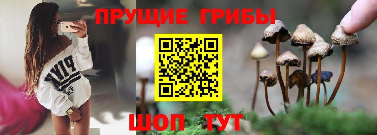 Псилоцибиновые грибы MAGIC MUSHROOMS  Вход с VPN  Галлюциногенные грибы ЛСД  Саратов 